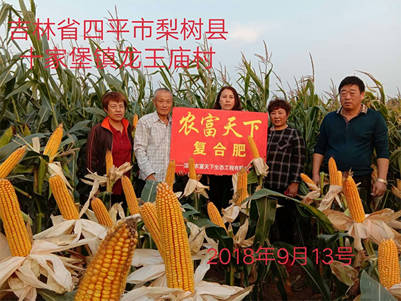 ���\����-�f(w��n)�،�-�r(n��ng)������5