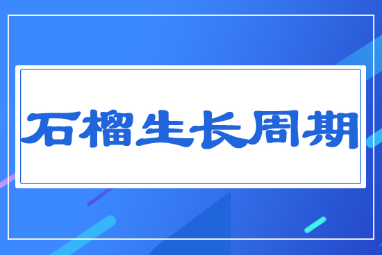 ʯ�����L����
