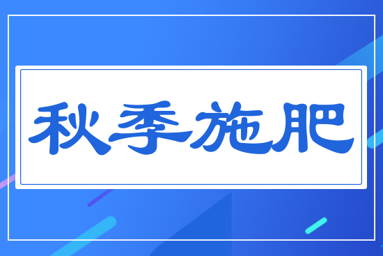 �＾ʩ��