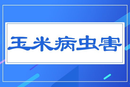 �����ش��x(ch��ng)��