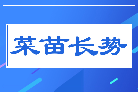 �����L(zh��ng)��(sh��)