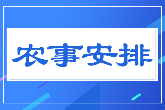 �r(n��ng)�°���