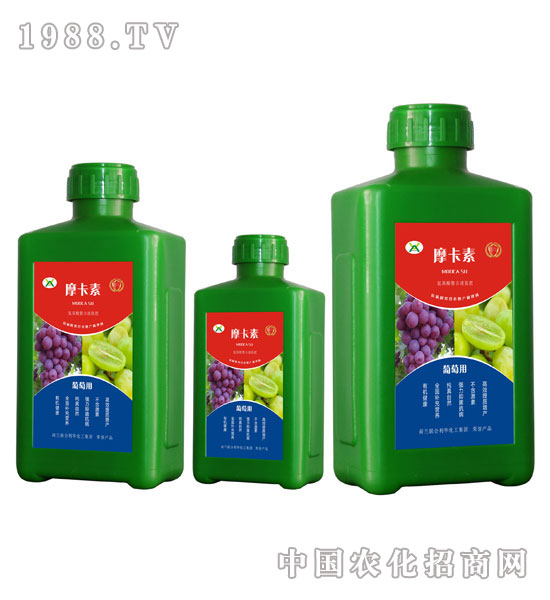 ���ь�(zhu��n)�ð���������Һ�ķ�-Ħ����-��(qi��ng)о��(gu��)�H