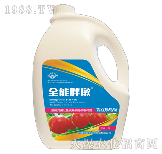 ȫ���ֶ�-���t������-���