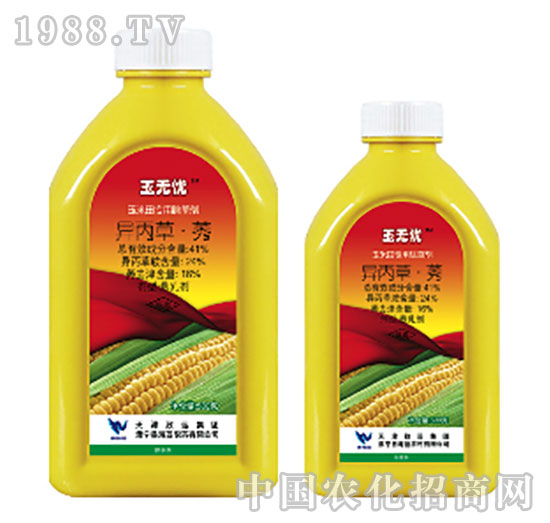 41%������ݬ-��o�n-���{(l��n)