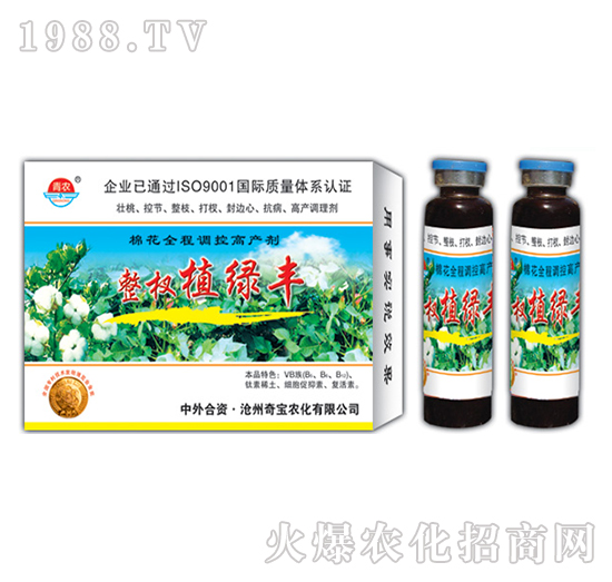 24g���ֲ�G�S-�挚�r(n��ng)��