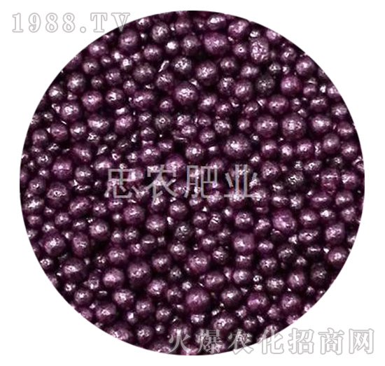 �ϼtɫ��(sh��)֬�����ЙC(j��)��-���r(n��ng)�ʘI(y��)