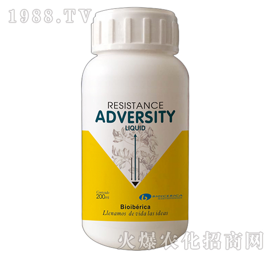 ���ܟo(w��)��-��ɪ��