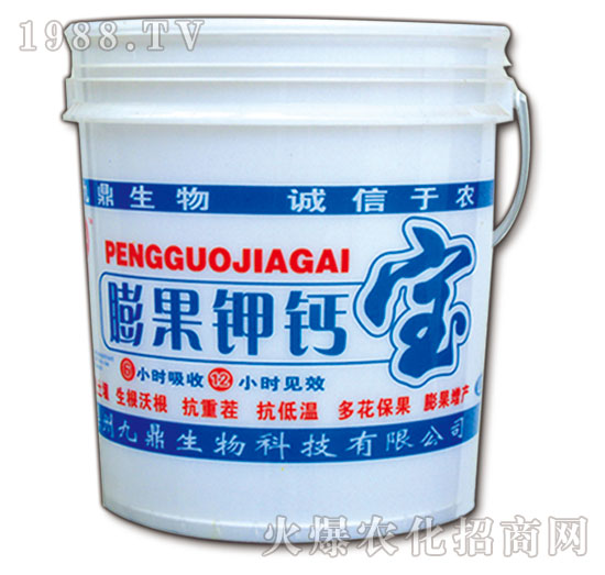 �����}��-�Ŷ�-�ذ�Ȫ