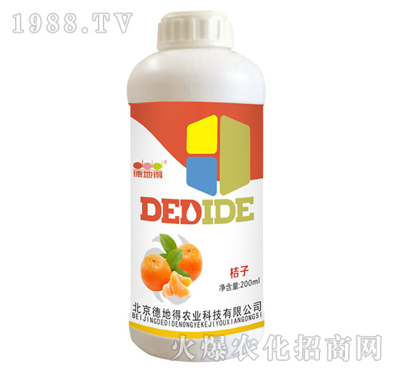 ���ӌ���-�µص�