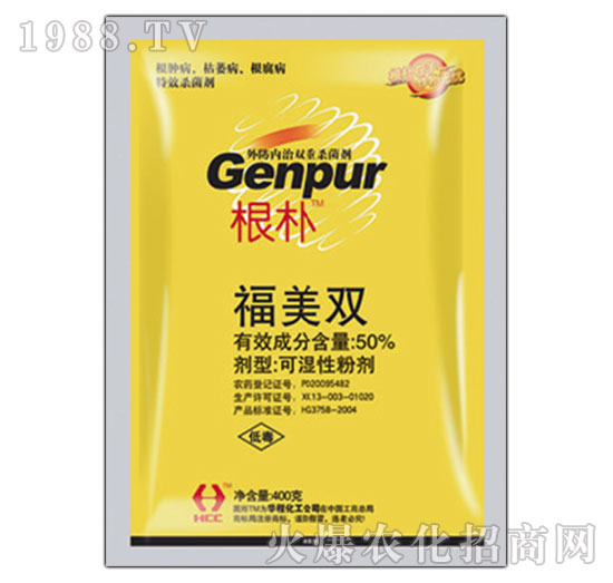 50%�����p-����-�A�̻���