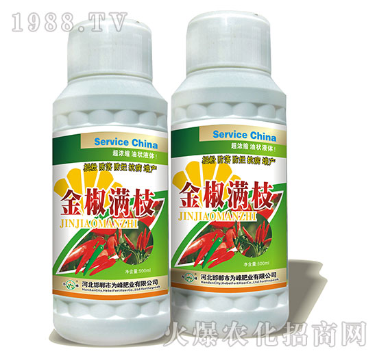 �𽷝M֦-�����~���-���