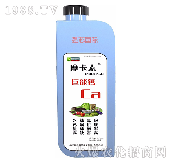 �����}-Ħ����-��(qi��ng)о���H