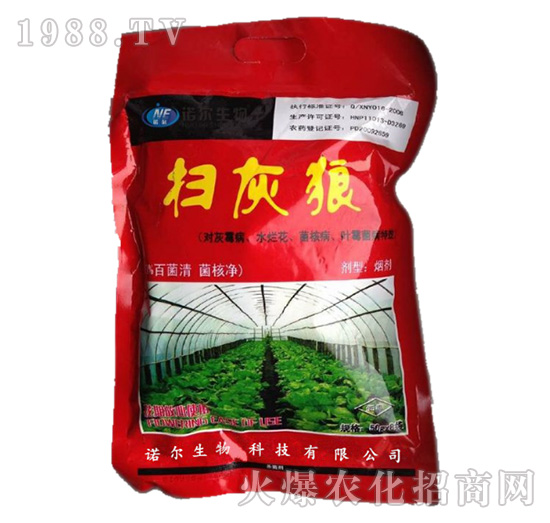 �߻���-�Z������