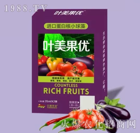 �ѽ�����{��(ji��)��-�~������(y��u)-�|¡�r�I(y��)