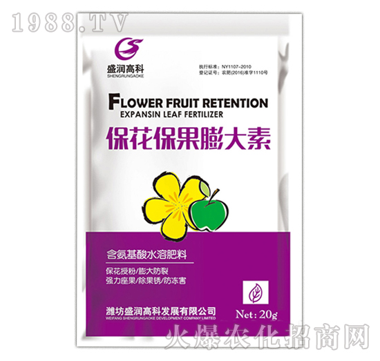 �������������-ʢ���߿�