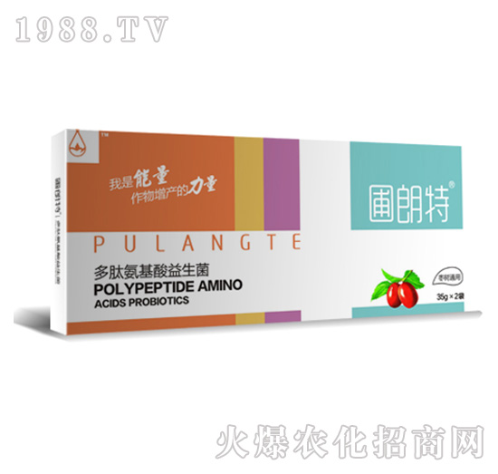 ����ͨ��-���İ�����������-������