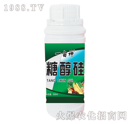 �Ǵ���-һ����