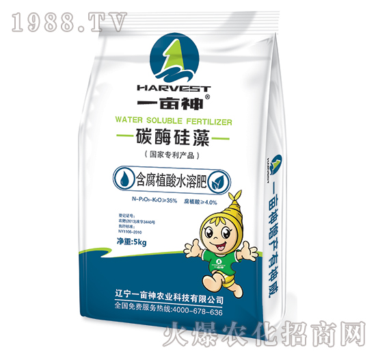 ����ֲ��ˮ�ܷ�-̼ø����-һ����