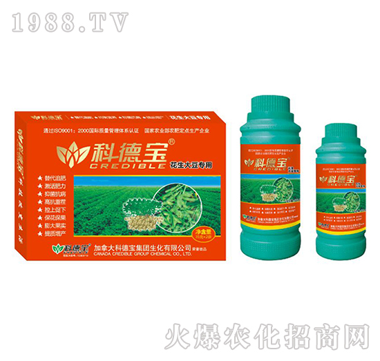 �����󶹌��àI�B(y��ng)���a(ch��n)�{(di��o)�턩-�Ƶ�