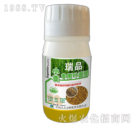 С�������~���-��Ʒ-�S�f¡