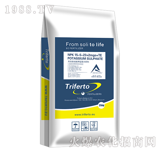 �ߝ��������͏�(f��)�Ϸ���-15-5-23+2MgO+TE-���\