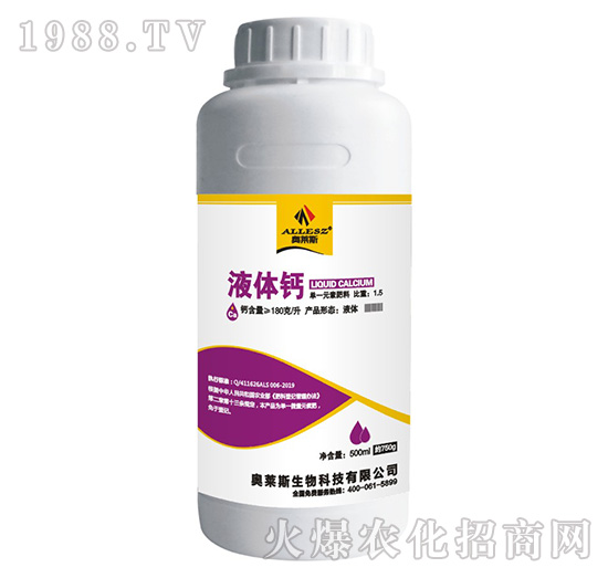 Һ�w�}-�W�R˹