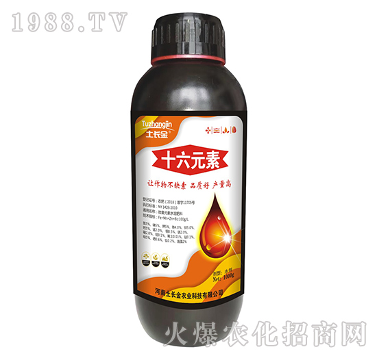 ʮ��Ԫ��-���L(zh��ng)��