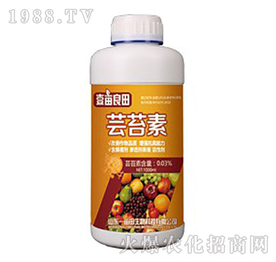 �|̦��-Ҽ������