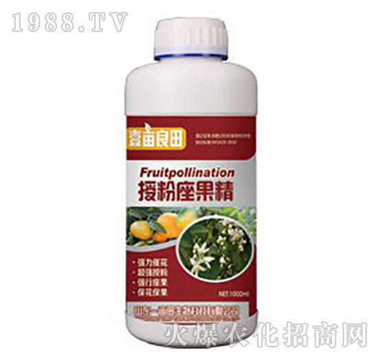 �ڷ�������-Ҽ������