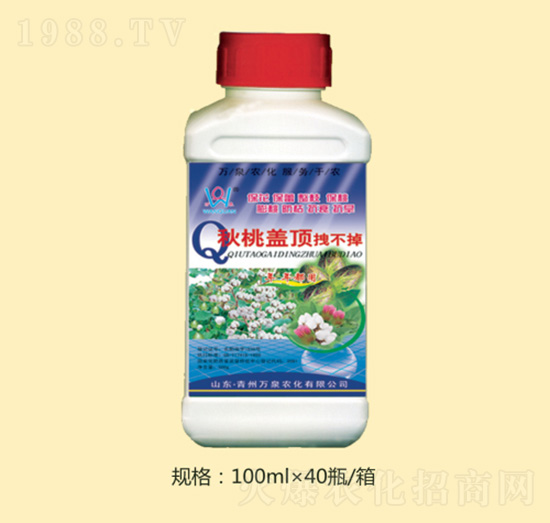 �����w�ק����-�fȪ�r��