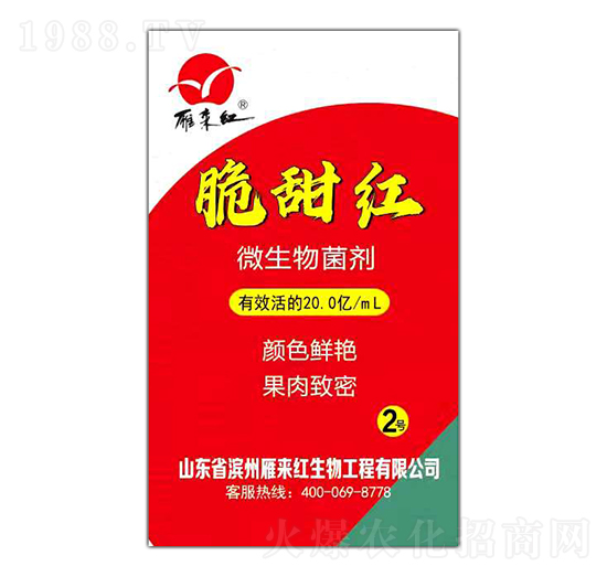 ΢�������-����t-����t