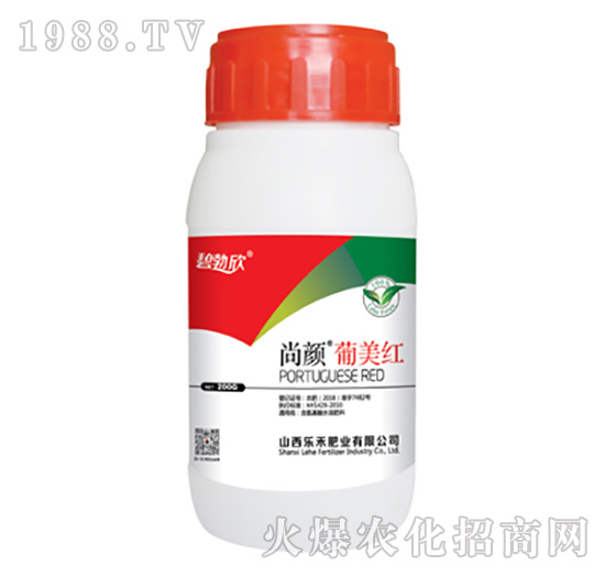 ��������t-����