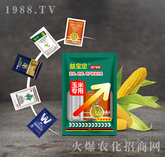 ���a(ch��n)�ײ�-�挚�����׌���-С����