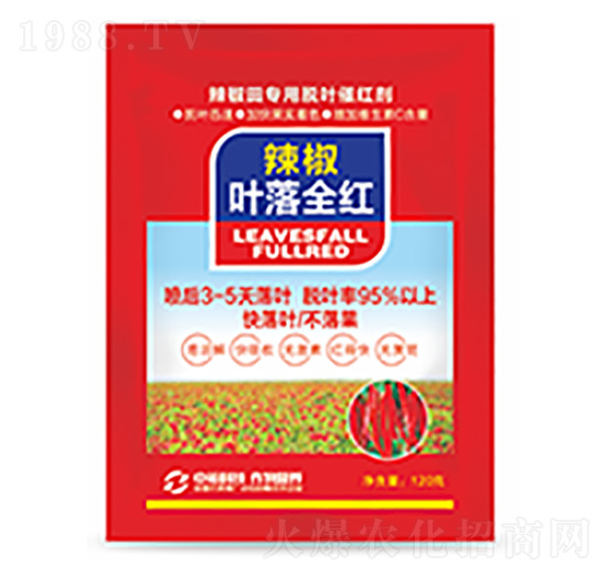 �����~��ȫ�t-�����Ƽ�