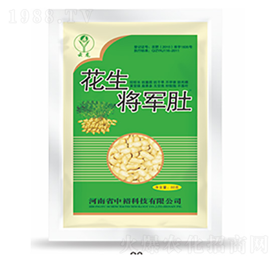 ������܊��-�����Ƽ�