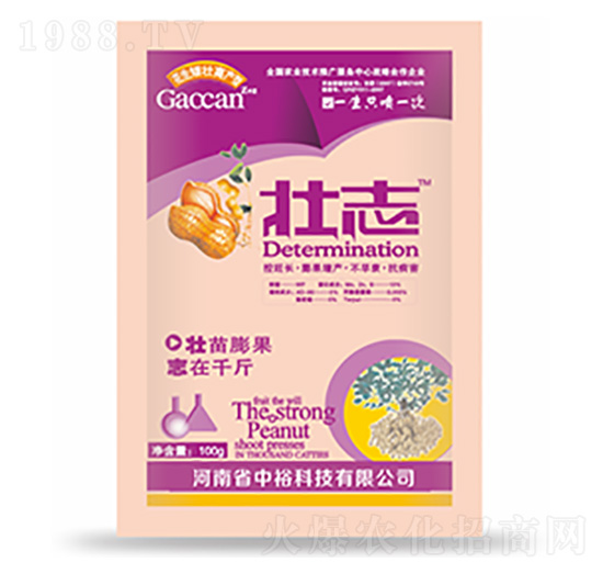 ��־-�����Ƽ�