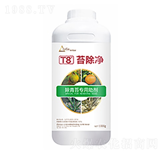 ̦����T8-�����Ƽ�