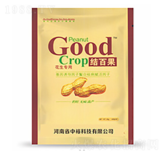 �Y(ji��)�ٹ�-�����Ƽ�