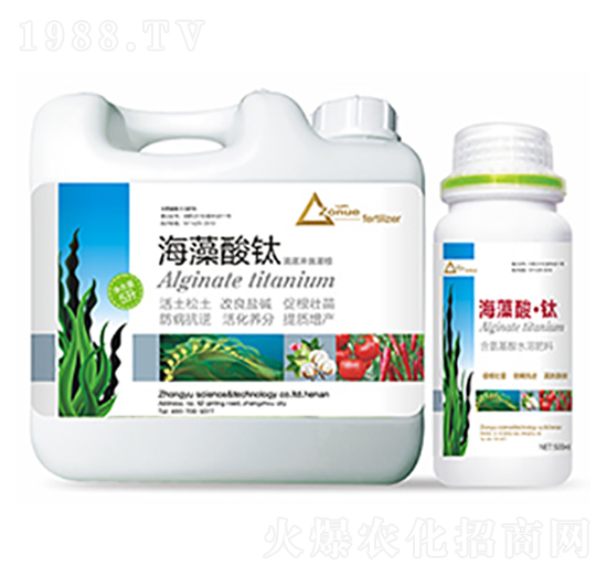 �������-�����Ƽ�