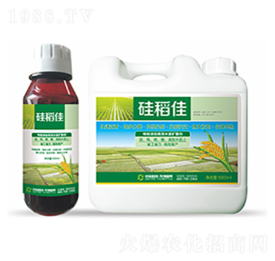 �赾��-�����Ƽ�