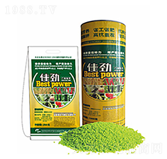 �ф�-�����Ƽ�