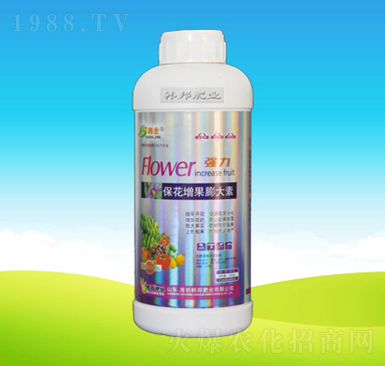 �������������-�n��ʘI(y��)