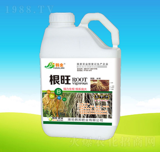 ����-�n��ʘI(y��)