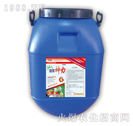 ��������-Ц��