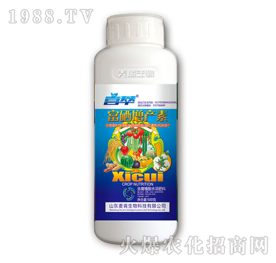 �������a(ch��n)��-��������