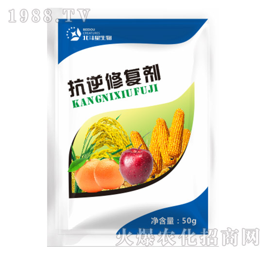 �����ޏ�(f��)��-������