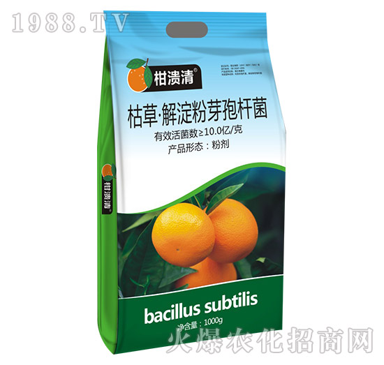 �ݲݡ������ѿ�ߗU��-�̝���-�T�_(d��)