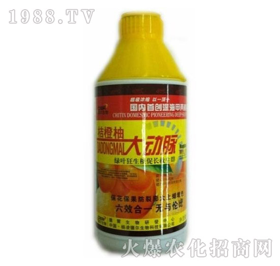 �۳��ִ��(d��ng)�}-� �����