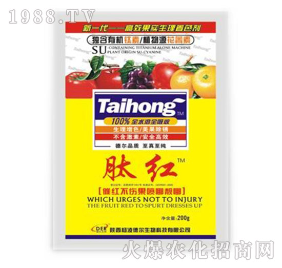 �ļt-��?t��ng)����? style=